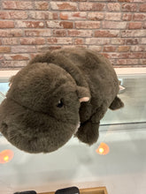 Load image into Gallery viewer, Warmies

