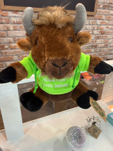 Load image into Gallery viewer, Stuffed Hoodie Bison
