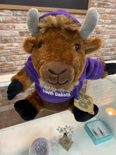 Load image into Gallery viewer, Stuffed Hoodie Bison
