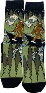 Social Distancing Champion Socks