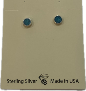 Sterling Silver Turquoise Inlay Earring