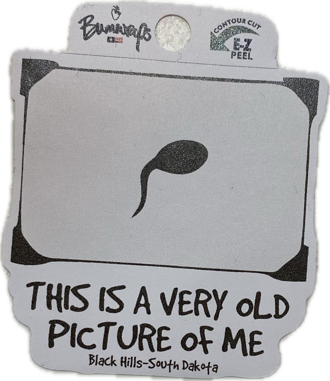 Old Picture of Me Sticker