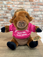 Load image into Gallery viewer, Stuffed Hoodie Bison
