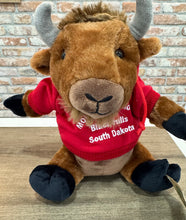 Load image into Gallery viewer, Stuffed Hoodie Bison
