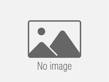 Load image into Gallery viewer, Sd Unearthed Earrings
